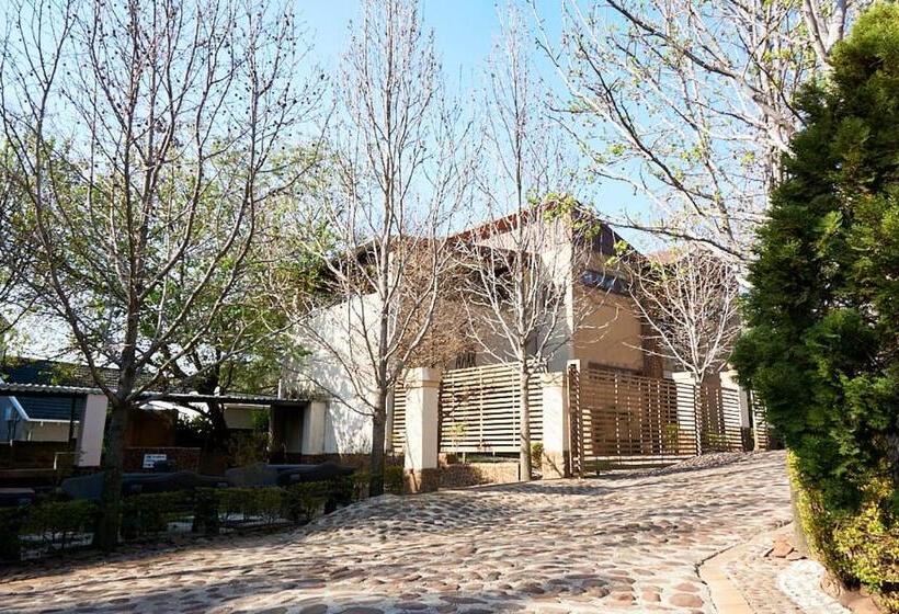 Bed and Breakfast Africa S Best Guesthouse