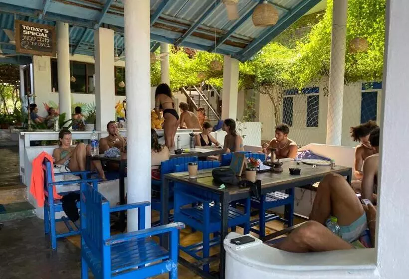 ホテル Arugambay Surf Resort
