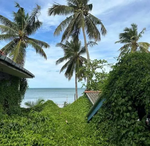 ホテル Arugambay Surf Resort