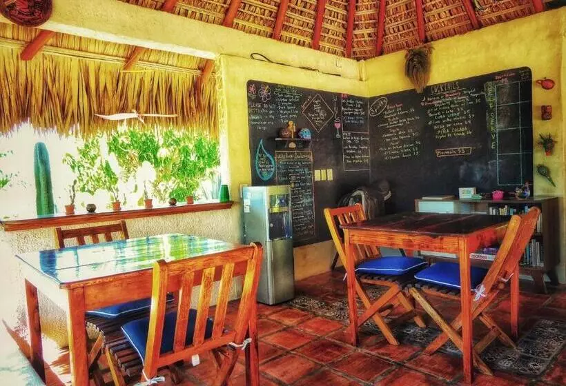 Ocean Oasis Hotel   Adult Only, Four Casitas Boutique Resort