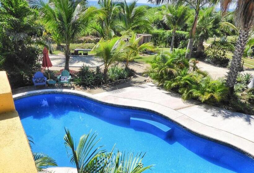 Ocean Oasis Hotel   Adult Only, Four Casitas Boutique Resort