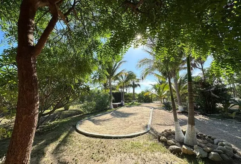 Ocean Oasis Hotel   Adult Only, Four Casitas Boutique Resort