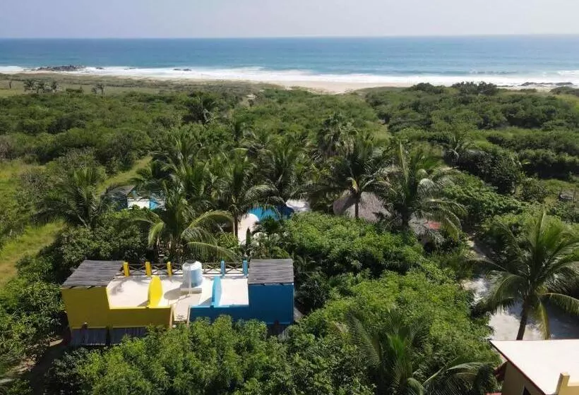 Ocean Oasis Hotel   Adult Only, Four Casitas Boutique Resort