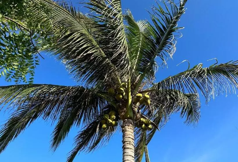 Ocean Oasis Hotel   Adult Only, Four Casitas Boutique Resort