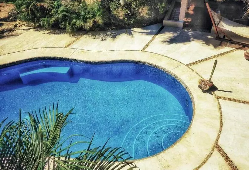 Ocean Oasis Hotel   Adult Only, Four Casitas Boutique Resort