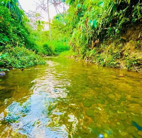 ホテル Oryza Wayanad
