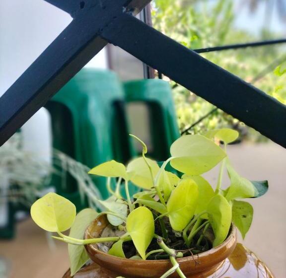 Hotelli Oryza Wayanad