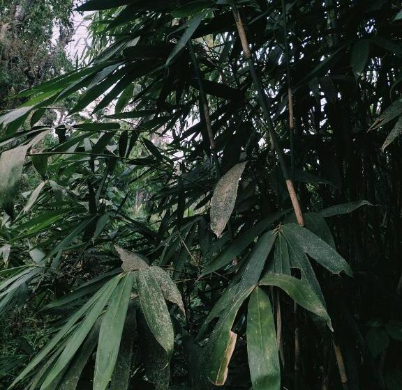 Hotelli Oryza Wayanad