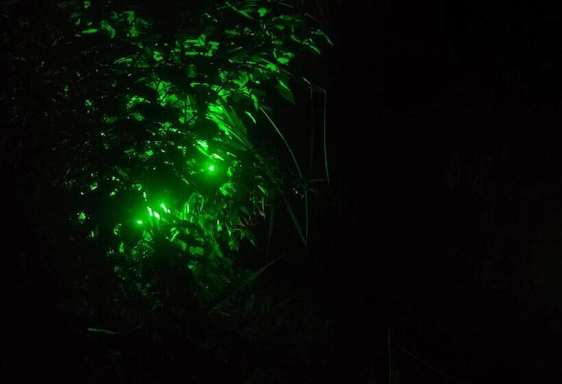 Hotelli Oryza Wayanad