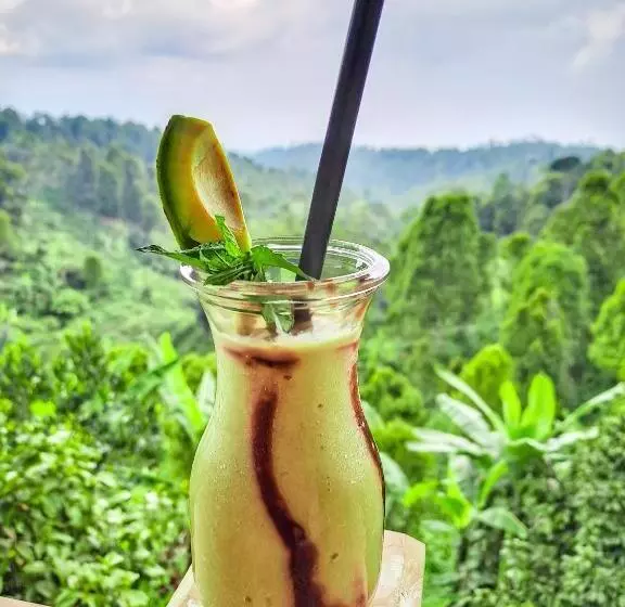 ベッドアンドブレックファースト Garden Terrace Bali