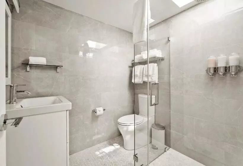 Hotelli Boutique Room Steps From Downtown Mall Rose Jean   Room 5