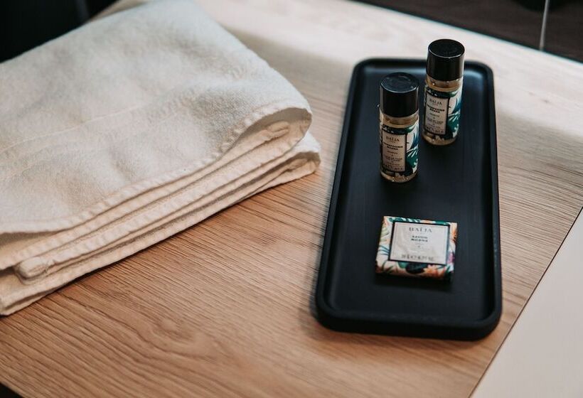 Hotel Hôtel Du Midi