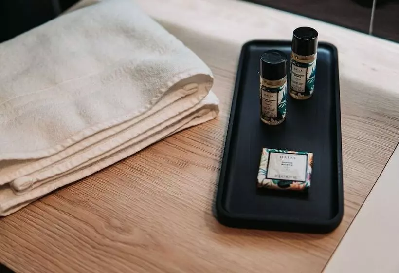 هتل Hôtel Du Midi