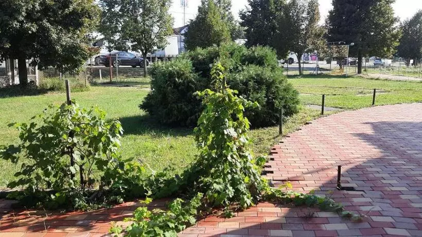 Majatalo Begónia Vendégház