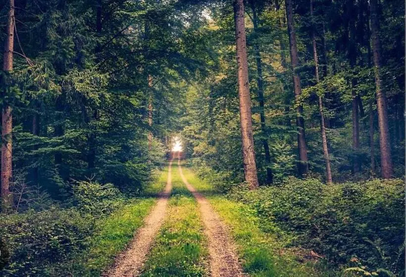 ペンション Landgasthof Im Schwarzwald Ideal Für Wanderer & Biker