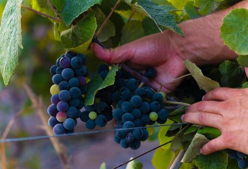 酒店 El Romeral De Azpitia