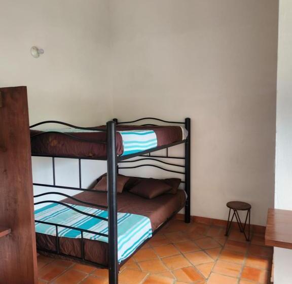 膳宿费 Ficus Villa De Leyva