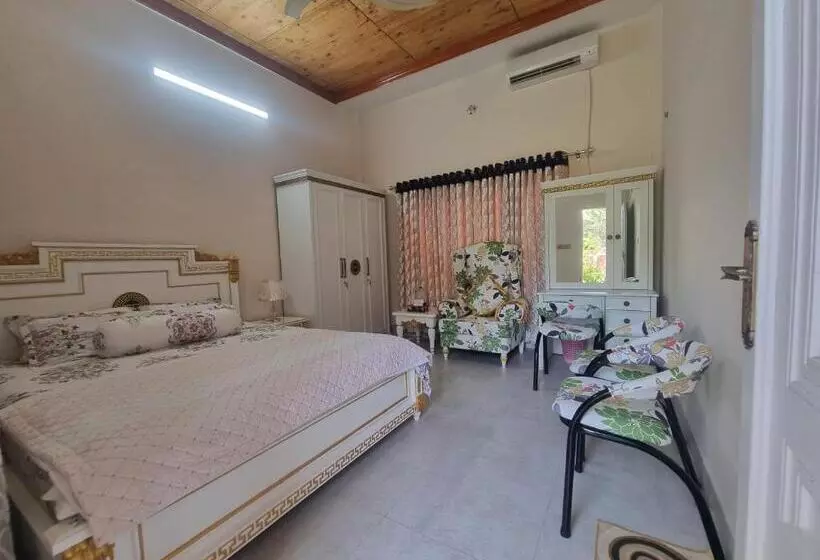 پانسیون The Cozy Nest