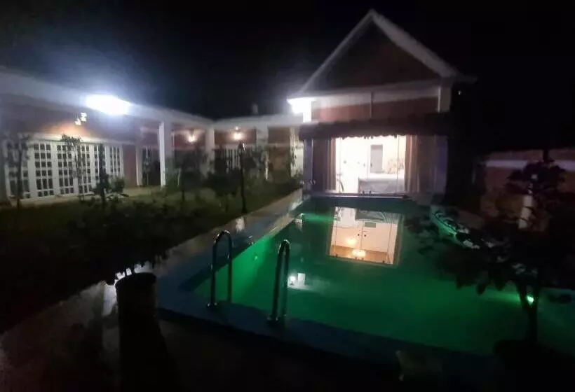 پانسیون The Cozy Nest