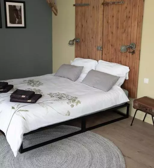 The Cat And The Owl B&b