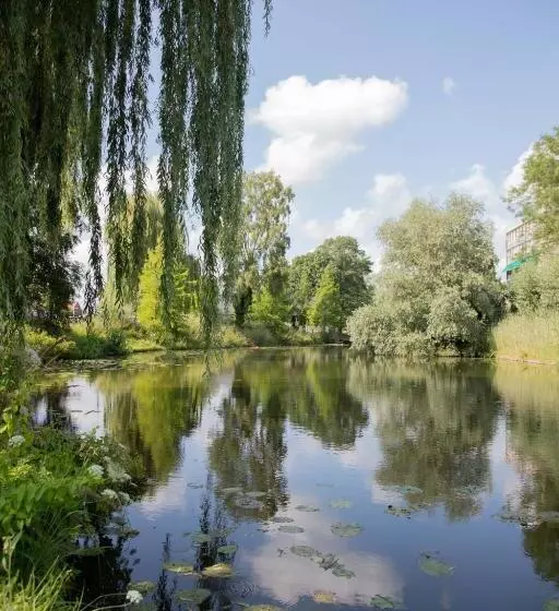 The Cat And The Owl B&b