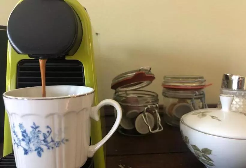 The Cat And The Owl B&b