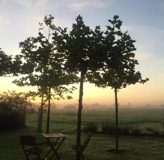 The Cat And The Owl B&b