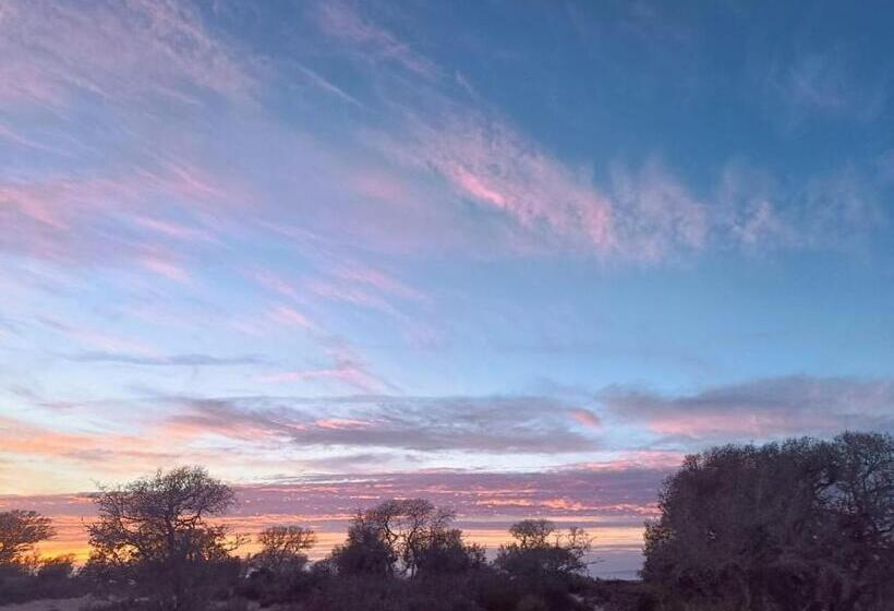 הוסטל Khalifa House