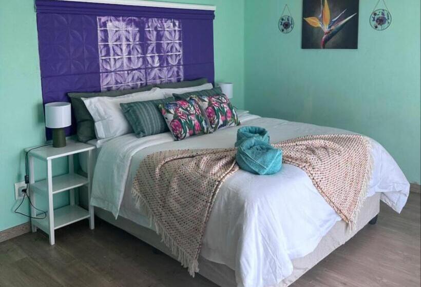 مبيت وإفطار 31 On Rooi