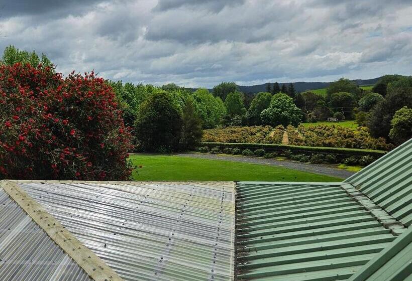 Bed and Breakfast Forest Waters