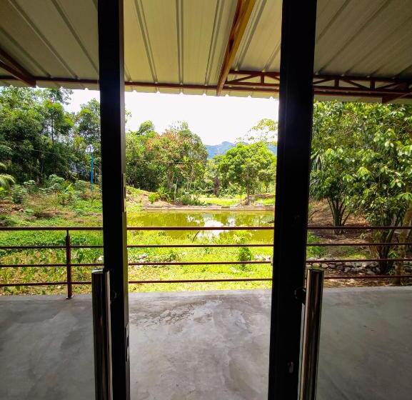 酒店 Cabañas Ecowasi