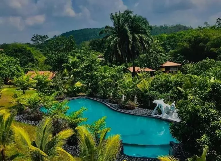 ホテル Manikgoda Tea Paradise