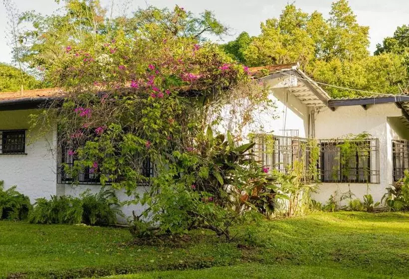 هتل Villa Blanca Antón