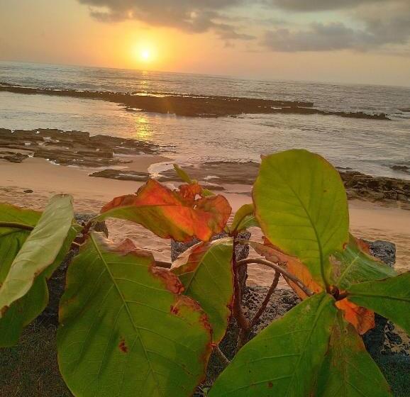 פנסיון Pousada Tropicália Tranquilidade A Beira Mar
