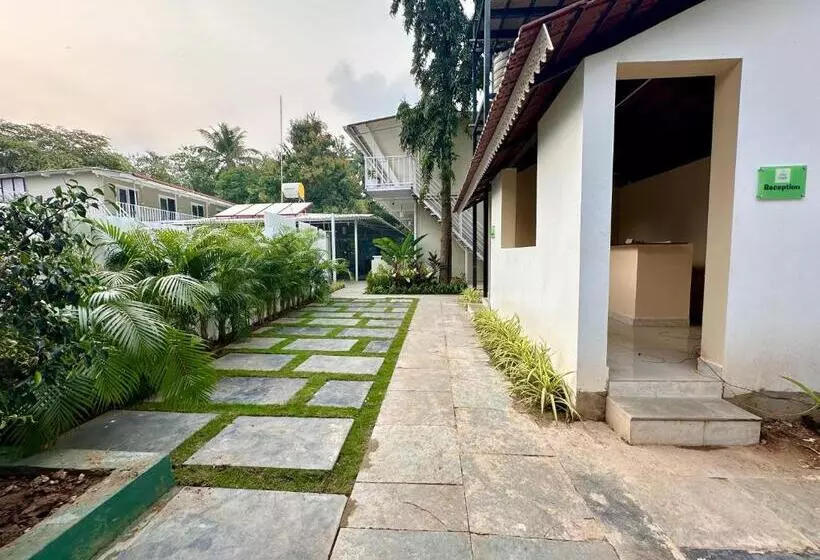 Coco Hostel Goa
