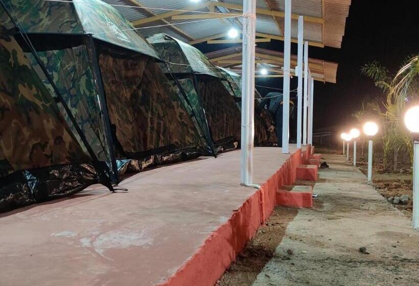 Gold Finn Resorts By Stayapart