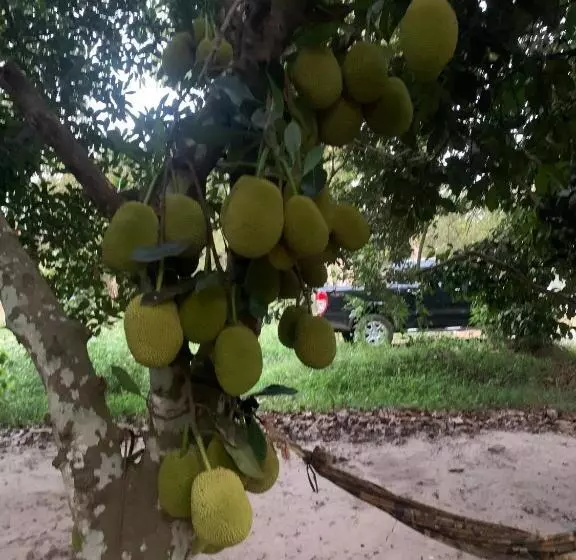 هتل Khách Sạn An Bình