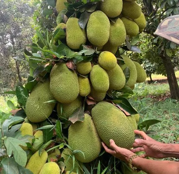 هتل Khách Sạn An Bình
