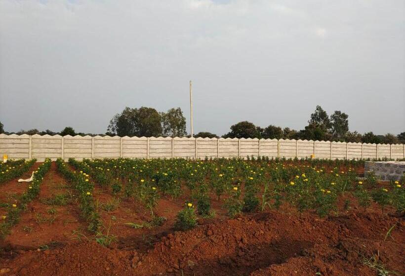 Hotel Live In Farm House