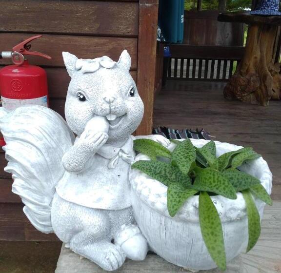 استراحتگاه Banrimtara Khao Kho