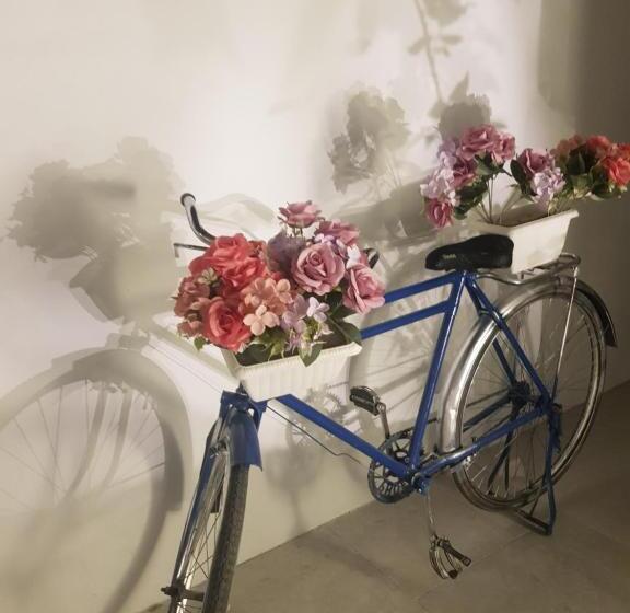 منتجع مورايا Murraya