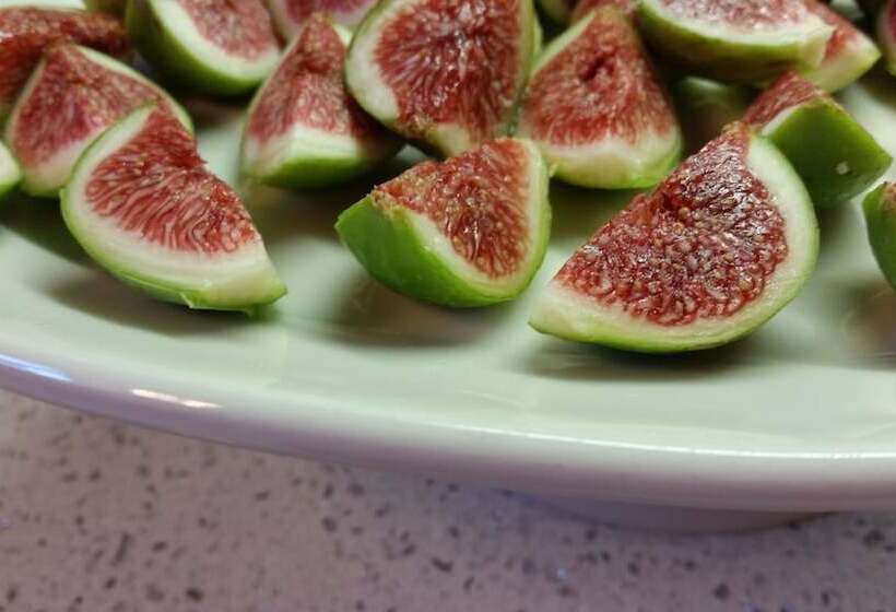 هتل Barclay Cottage B&b