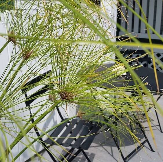 هتل Barclay Cottage B&b