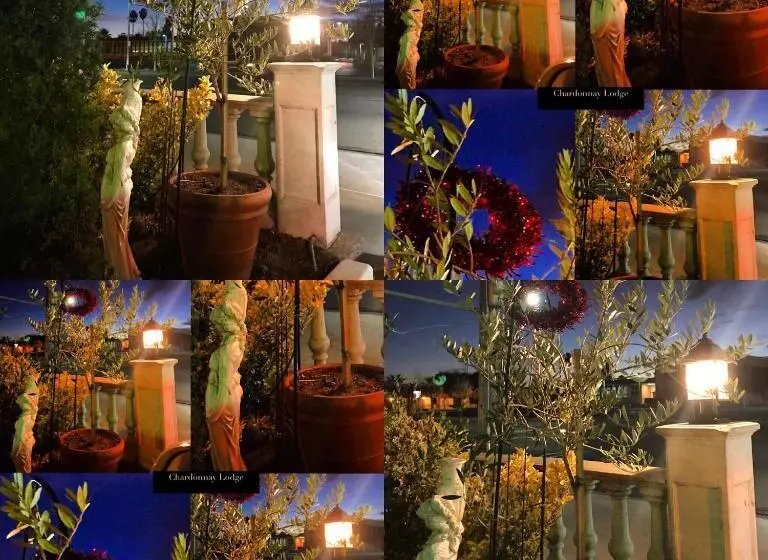 هتل Chardonnay Lodge