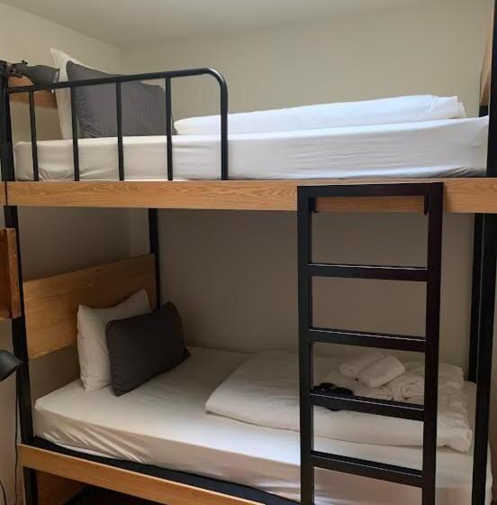 酒店 Chelsea Rooms Nyc