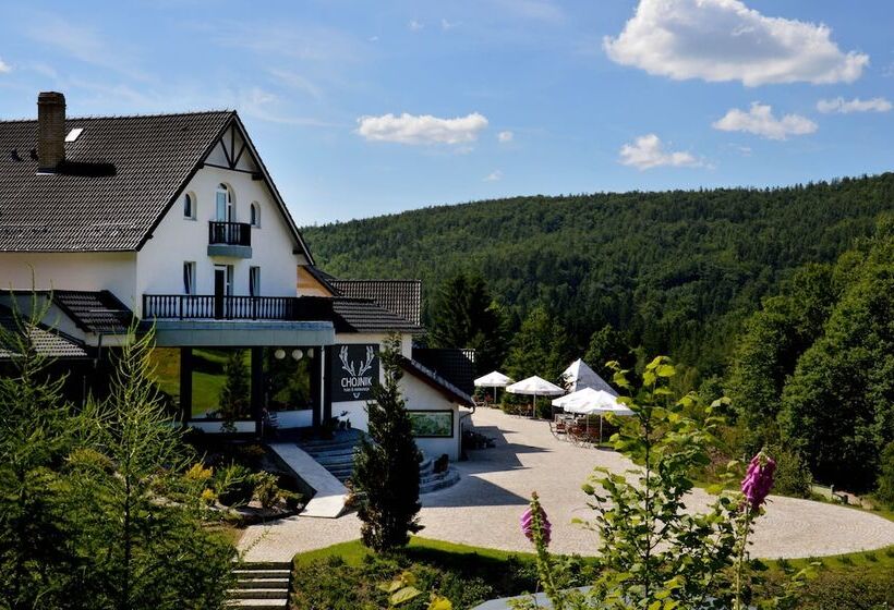 בית מלון כפרי Chojnik