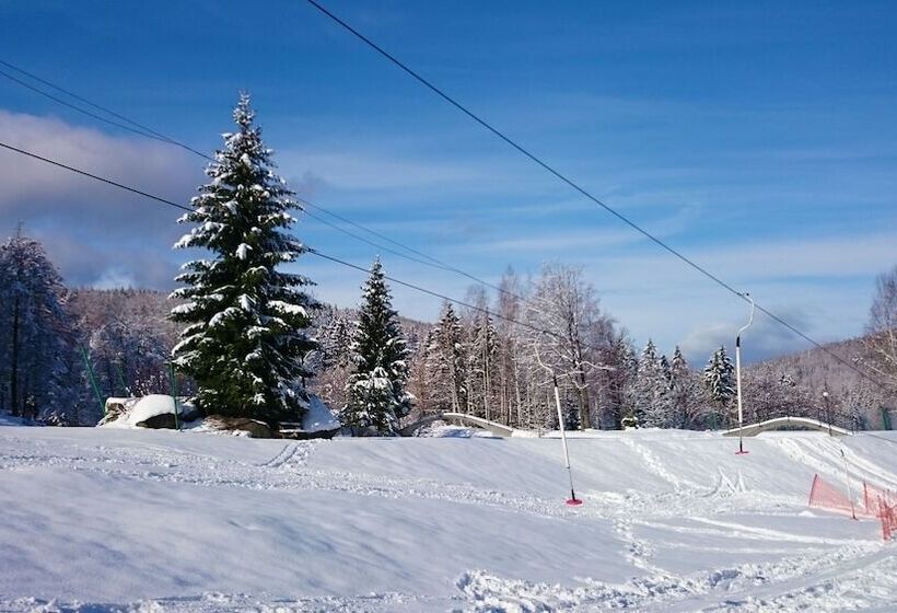 בית מלון כפרי Chojnik