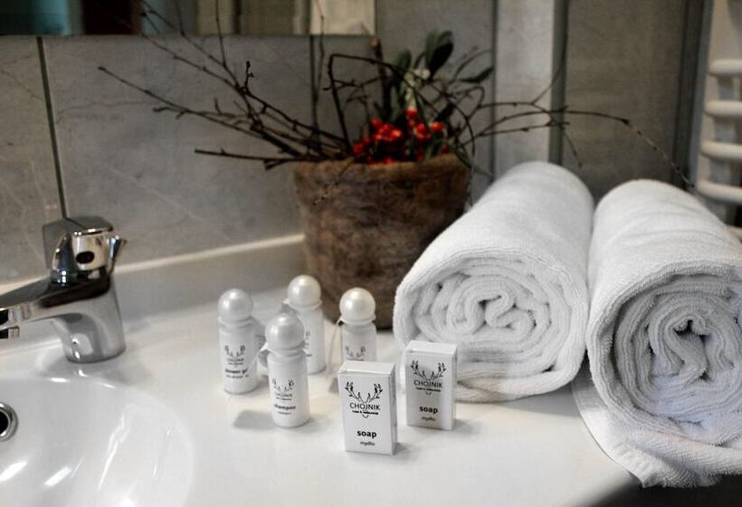 בית מלון כפרי Chojnik