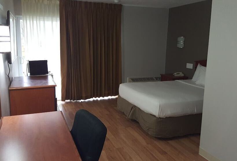 ホテル Crystal Inn  Neptune