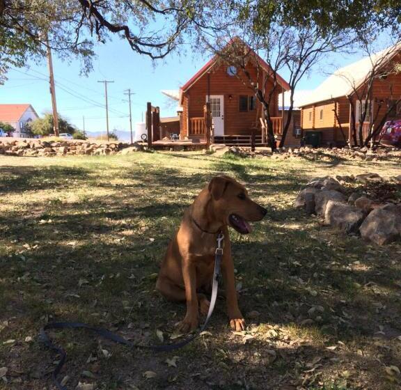 فندق Katie's Cozy Cabins